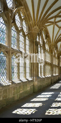 Blick auf sonnenbeschienenen Passage mit Licht aus Fenstern schaffen Schatten auf dem Boden in der Wells Cathedral in Somerset, England Stockfoto