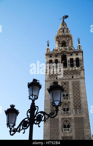 Straßenlaterne und La Giralda in Sevilla Kathedrale, Sevilla, Andalusien, Spanien Stockfoto