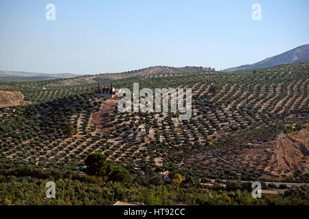 Malerische Aussicht auf Ackerland mit Obstgärten auf dem Weg von Granada nach Madrid, Spanien Stockfoto