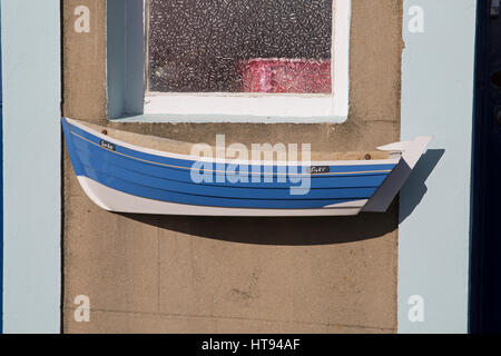 Blume-Topflappen in St Monans Schottland Stockfoto