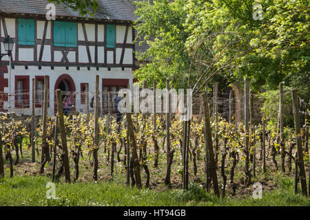 Im Ökomuseum d ' Alsace ist der größte lebende Freilichtmuseum in Frankreich und zeigt ein elsässisches Dorf aus dem frühen 20. Jahrhundert. Es veranschaulicht, was sind Stockfoto