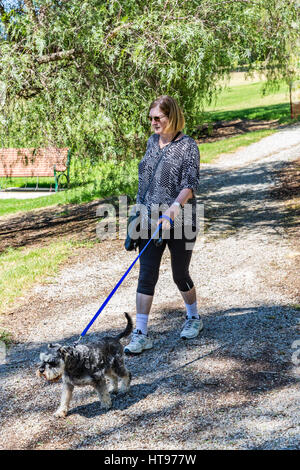 Eine Frau geht ihren Hund an der Leine im Bicentennial Park, Sunbury, Vic, Australien Stockfoto