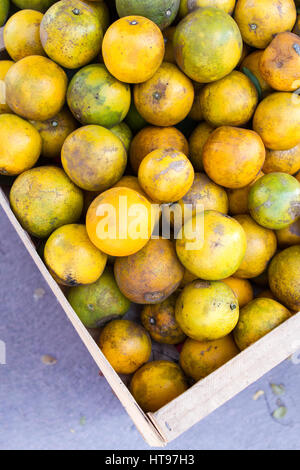 Kiste Orangen am Markt in Belize Stockfoto