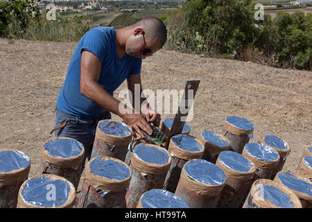 Eine maltesische Pyrotechniker legt die elektronische Sicherungen auf einer Leiterplatte am Startplatz ein Feuerwerk in Malta. Stockfoto