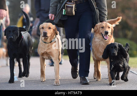 Hunde und ihre Besitzer kommen für Tag eins der Crufts 2017 im NEC in Birmingham. Stockfoto