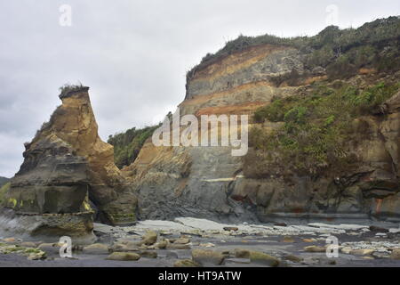 Küstenklippen während Ebbe-Zeit in der Nähe von drei Schwestern in Taranaki. Stockfoto