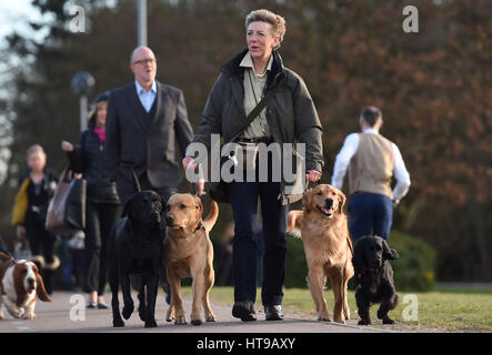 Hunde und ihre Besitzer kommen für Tag eins der Crufts 2017 im NEC in Birmingham. Stockfoto