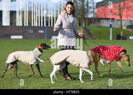 Hunde und ihre Besitzer kommen für Tag eins der Crufts 2017 im NEC in Birmingham. Stockfoto