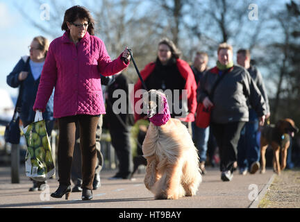 Hunde und ihre Besitzer kommen für Tag eins der Crufts 2017 im NEC in Birmingham. Stockfoto