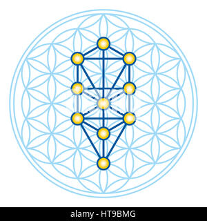 Blume des Lebens im Baum des Lebens. Sephirots der Kabbalah in alten symmetrischen Symbol, bestehend aus mehreren überlappenden Kreisen. Stockfoto