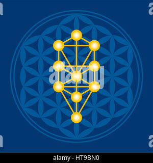 Goldener Baum im blauen Blume des Lebens in dunkelblau. Kabbalah Sephirots in einer alten Mandala Symbol bestehend aus überlappenden Kreisen. Stockfoto