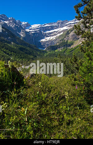 Kleiner Schmetterling Orchidee Platanthera Bifolia mit Cirque du Gavarnie jenseits Hautes Nationalpark Pyrenäen Pyrenäen Frankreich Stockfoto