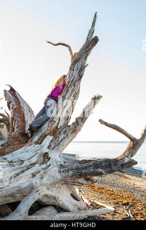 Eine Frau auf einem großen Stück Treibholz am Strand von Französisch auf Vancouver Island, British Columbia, Kanada. Stockfoto