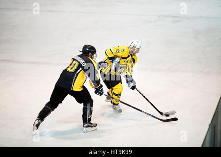 Moskau, Russland - 22. Januar 2017: Amateur Hockey League Playoff-77. Spiel zwischen Hockey-Team "New Jersey 53' und Hockey team"Grizzly-2". Stockfoto