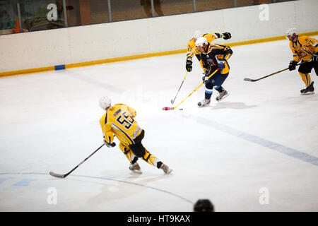 Moskau, Russland - 22. Januar 2017: Amateur Hockey League Playoff-77. Spiel zwischen Hockey-Team "New Jersey 53' und Hockey team"Grizzly-2". Stockfoto