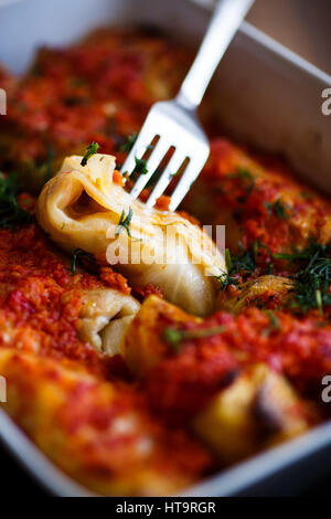 Kohlrouladen mit Fleisch und Reis in Tomatensauce Stockfoto