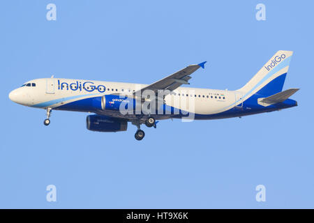 Dubai/VAE 9. März 2017: Airbus A320 von IndiGo landet auf dem Flughafen von Dubai. Stockfoto