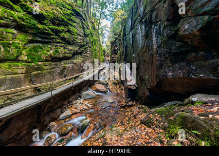 Holzsteg und Schritte entlang des Flume Gorge im Franconia Notch State Park, New Hampshire, USA. Stockfoto