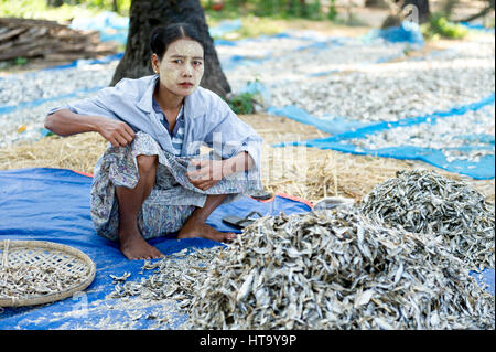 Myanmar (vormals Birmanie). Ngapali. Arakan Zustand. Bengal-Golfplatz. Fischerdorf. Frauen setzen getrocknet Stockfoto