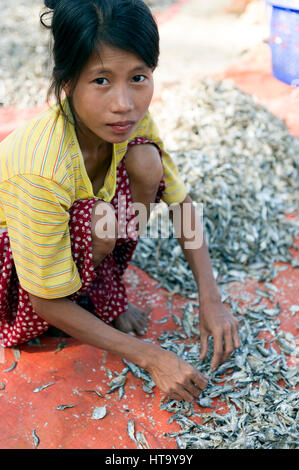 Myanmar (vormals Birmanie). Ngapali. Arakan Zustand. Bengal-Golfplatz. Fischerdorf. Frauen setzen getrocknet Stockfoto