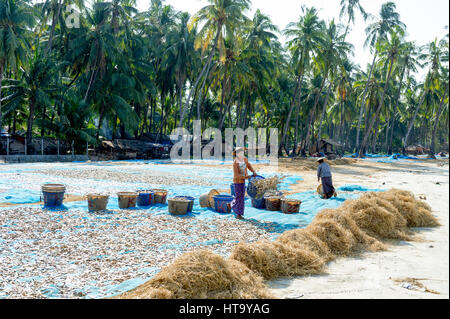 Myanmar (vormals Birmanie). Ngapali. Arakan Zustand. Bengal-Golfplatz. Fischerdorf. Frauen setzen getrocknet Stockfoto