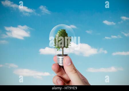 Energie-Effizienz-Konzept. Abstrakte Komposition mit Baum Birne auf Natur Hintergrund Stockfoto