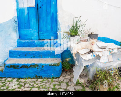 Faule Katze vor einem typisch portugiesischen Haus in Mértola. Stockfoto