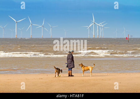 Burbo Bank Offshore Wind Farm von Ainsdale, Merseyside gesehen. 9. März 2017. UK Wetter. Am frühen Morgen hund Spaziergänger bummeln Sie in der herrlichen Frühlingssonne auf ainsdale Strand in Merseyside. Credit: cernan Elias/Alamy leben Nachrichten Stockfoto