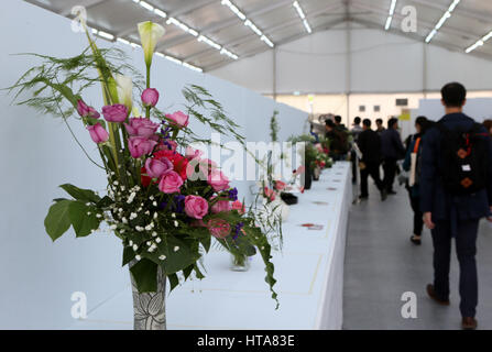 Hong Kong, China. 9. März 2017. Reporter anzeigen Blume Exponate während der Vorschau des Hong Kong Flower Show im Victoria Park in Hongkong, Südchina, 9. März 2017. Die Blumenschau wird von 10 bis 19 März dieses Jahres stattfinden. Bildnachweis: Li Peng/Xinhua/Alamy Live-Nachrichten Stockfoto