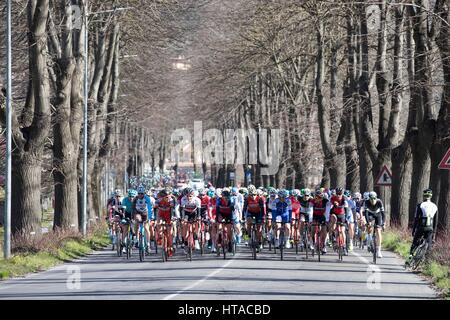 Italien. 9. März 2017. 52. Tirreno - Adriatico Bühne 02: Camaiore - Pomarance Hauptfeld Kreditkarten: Cronos Foto/Alamy Live-Nachrichten Stockfoto