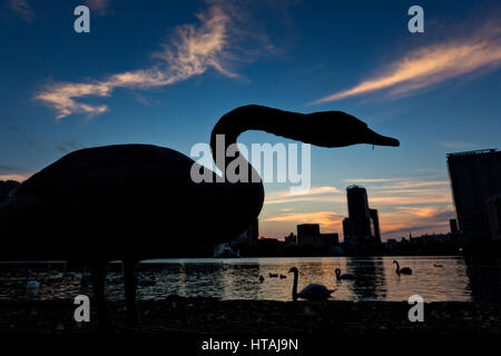 Ein Schwan ist von der Einstellung Sonne und Skyline-Blick über Lake Eola in Orlando, Florida Silhouette. Lake Eola Park ist gelegen im Herzen von Downtown Orlando und Heimat der Walt-Disney-Amphitheater. Stockfoto