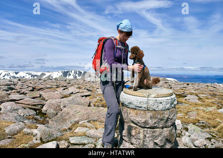 Ein Wanderer eine ihren Hund auf den Gipfel des Ben Macdui in den Cairngorms, die schottischen Highlands, UK. Stockfoto