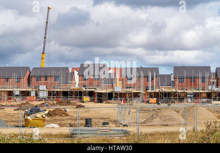 Neu gebaute Häuser in einer Wohnsiedlung in England. Stockfoto