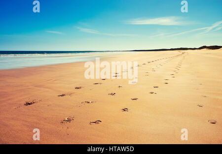 Pferd Huf druckt auf einem goldenen Sandstrand. North East England, UK. Farbe-Styling und Korn angewendet. Stockfoto