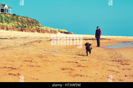 Ein Hund an einem sonnigen Strand sprinten. Farbe-Styling und Korn angewendet. Stockfoto