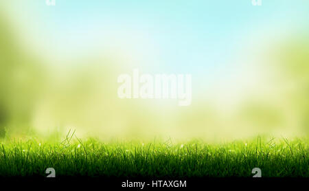 Grashalme grün mit einem unscharfen Himmelblau und grün Garten Laub Hintergrund. Stockfoto