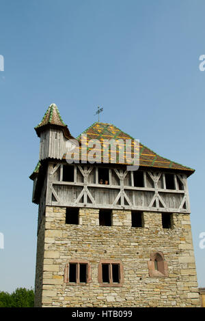 Im Ökomuseum d ' Alsace ist der größte lebende Freilichtmuseum in Frankreich und zeigt ein elsässisches Dorf aus dem frühen 20. Jahrhundert. Es veranschaulicht, was sind Stockfoto