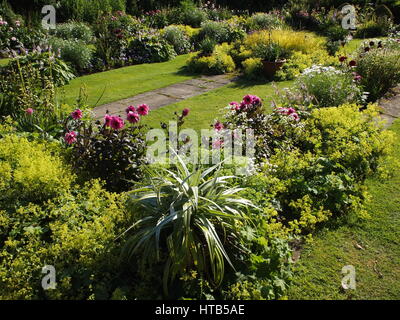 Chenies Manor versunkene Garten, Buckinghamshire. Abendsonne, verstärkt die Farben von Laub, Frauenmantel und dunkel rosa Dahlien hinzufügen zu ihrer Schönheit. Stockfoto