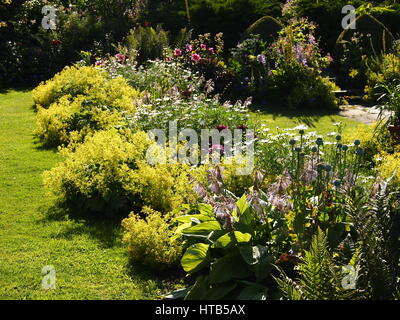 Abendlicht am Rand Sommerpflanzen im Chenies Manor Garden, Buckinghamshire. Licht scheint durch Blütenblätter und Blätter in den versunkenen Garten. Stockfoto