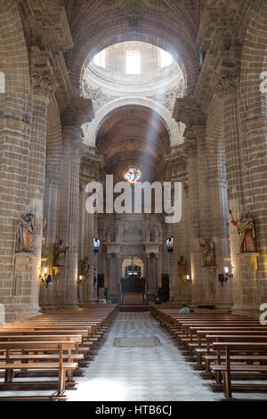 Blick entlang der inneren Hauptschiff der Kathedrale von San Salvador, Jerez De La Frontera, Cadiz Provinz, Andalusien, Spanien, Europa Stockfoto