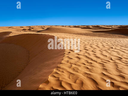 Die Sahara Wüste Sanddünen des Erg Oriental in der Nähe der Oasis von Ksar Ghilane, Tunesien, Afrika Stockfoto