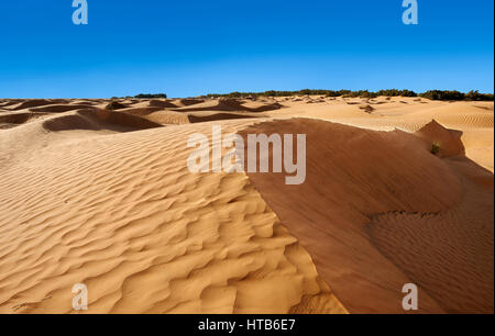 Die Sahara Wüste Sanddünen des Erg Oriental in der Nähe der Oasis von Ksar Ghilane, Tunesien, Afrika Stockfoto