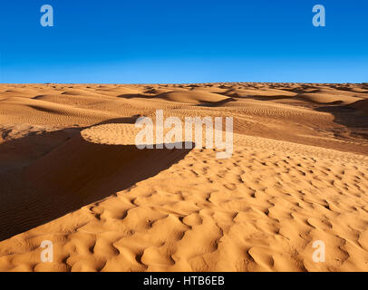 Die Sahara Wüste Sanddünen des Erg Oriental in der Nähe der Oasis von Ksar Ghilane, Tunesien, Afrika Stockfoto