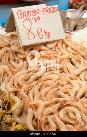 Frische Garnelen zu verkaufen in Fisch Markt, Mercado Central de Abastos, Jerez De La Frontera, Provinz Cadiz, Andalusien, Spanien, Europa Stockfoto