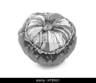 Türken-Turban Squash, isoliert auf weißem Hintergrund Stockfoto