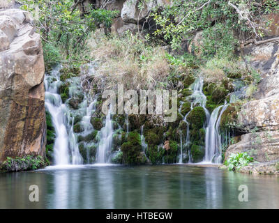 Kleiner Wasserfall bei Lourie Trail, Blyde River Canyon, Graskop, Mpumalanga, Südafrika Stockfoto