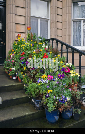 Blumen vor der Haustür Stockfotografie Alamy
