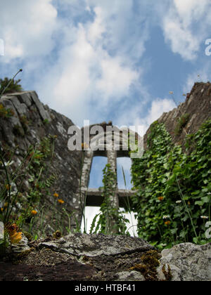 Eine Kapelle Fenster in den Ruinen von Bridgetown Priory nahe Castletownroche in County Cork, Irland. Stockfoto