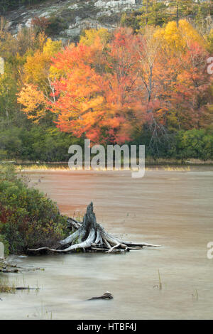 Herbstfärbung Farbsäume Frood See, Nr. Felchen fällt, Bezirk von Sudbury, Ontario, Kanada Stockfoto