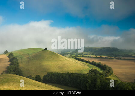 Ein nebliger Morgen auf Corton Denham Leuchtfeuer mit Blick auf Cadbury Castle, Somerset, England, UK Stockfoto